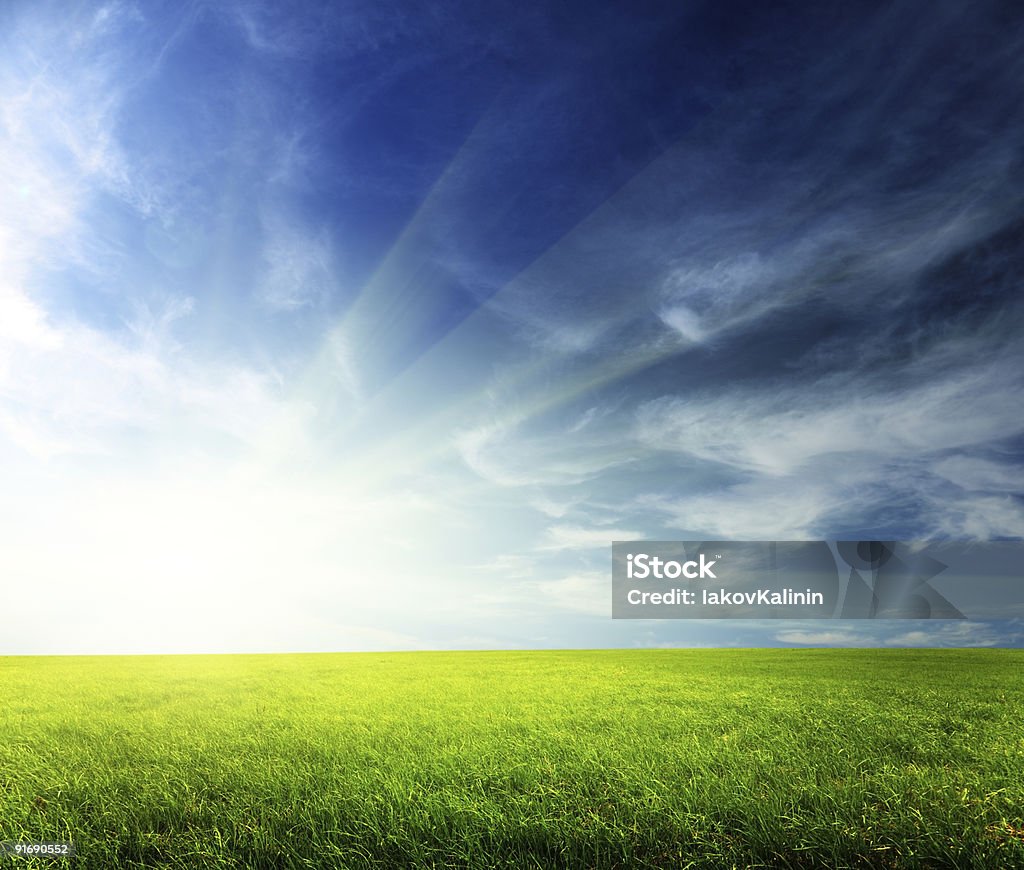 Campo di erba di primavera e tramonto - Foto stock royalty-free di Erba