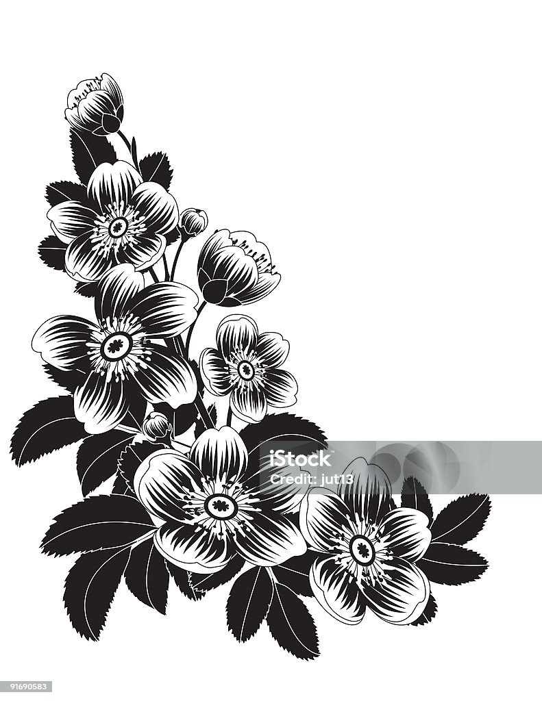 Flores - Royalty-free Beleza Ilustração de stock