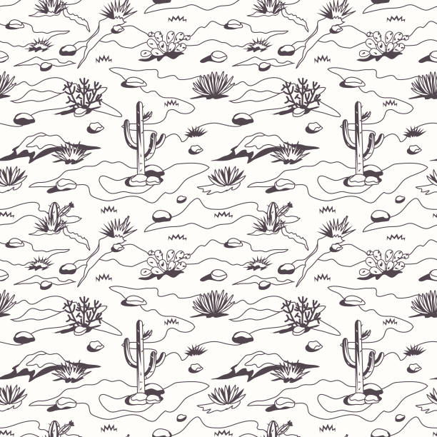 ilustrações, clipart, desenhos animados e ícones de padrão sem emenda da paisagem de deserto. plano de fundo de desenhos animados ocidentais + cactos, ervas, dunas de areia, pedras. preto + branco - rock pattern canyon usa