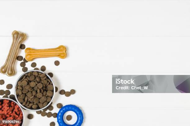 Dry Dog Food And Accessories On White Background Top View Stock Photo - Download Image Now