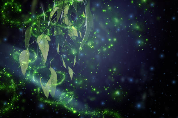 istock Abstract and magical image of Firefly flying in the night forest. Fairy tale concept. 916914338