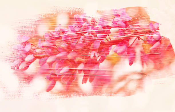 istock dreamy and abstract image of cherry tree. double exposure effect with watercolor brush stroke texture. 916914386