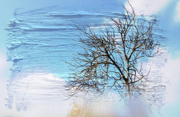 istock dreamy and abstract image of the bare branches at the forest, against sky. double exposure effect with watercolor brush stroke texture. 916914400
