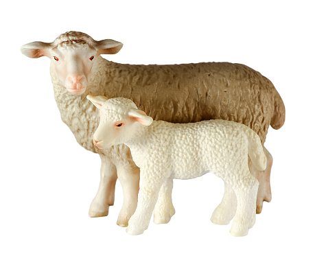 Two white toy lambs standing full-length isolated on white background. The sheep and the lamb  close up.