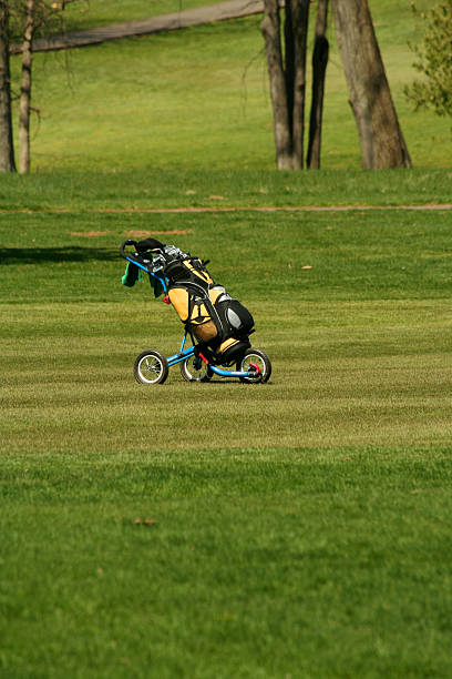 istock Golf bag on the fairway of a course 91691874