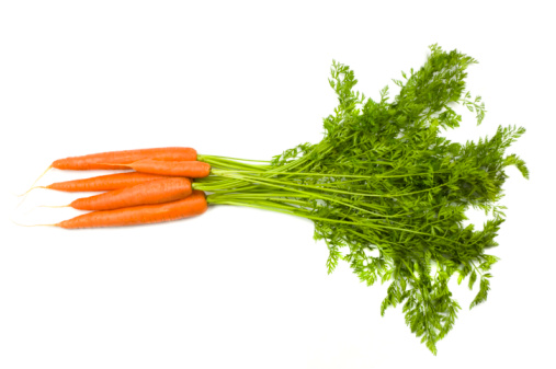 Fresh and ripe bunch of orange carrots isolated on white background.