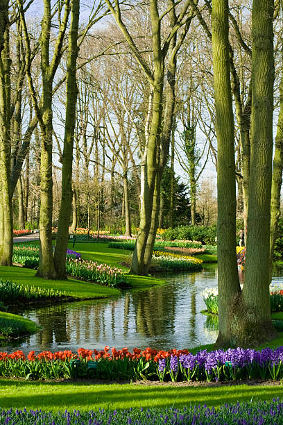 istock Scenic garden in Lisse (Netherlands) 91692420