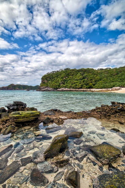 istock Beach in tropical island 916927878