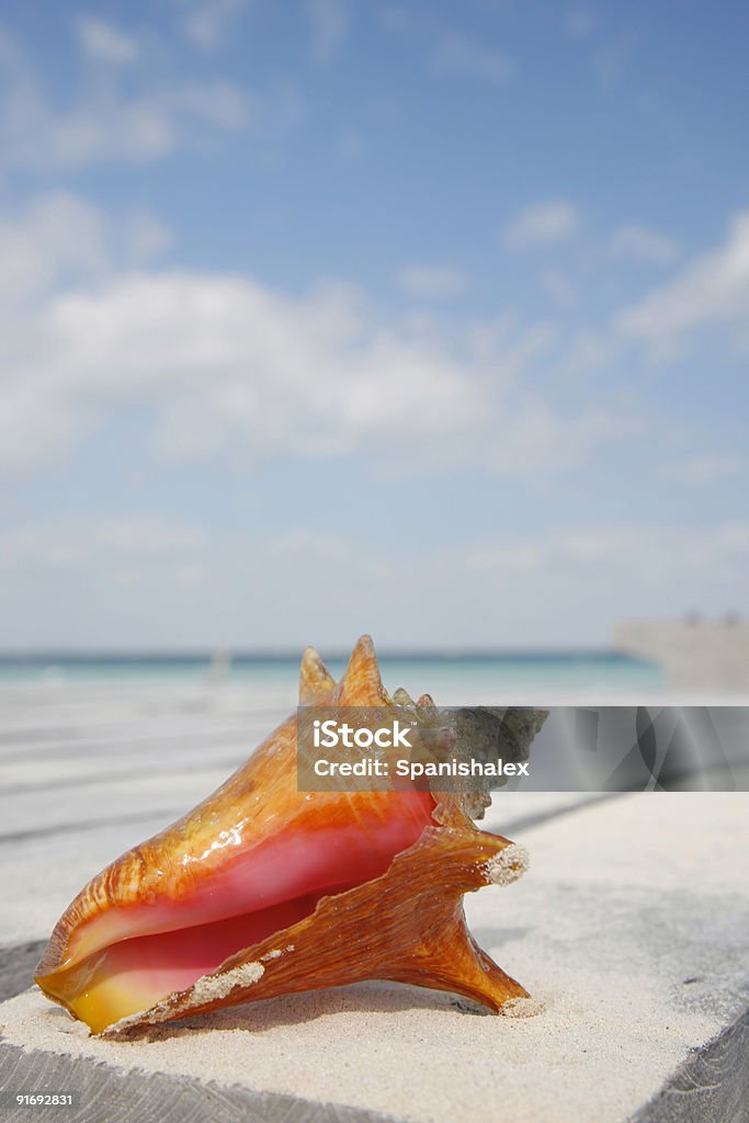 Das Leben ist ein Strand (Füße - Lizenzfrei Anlegestelle Stock-Foto