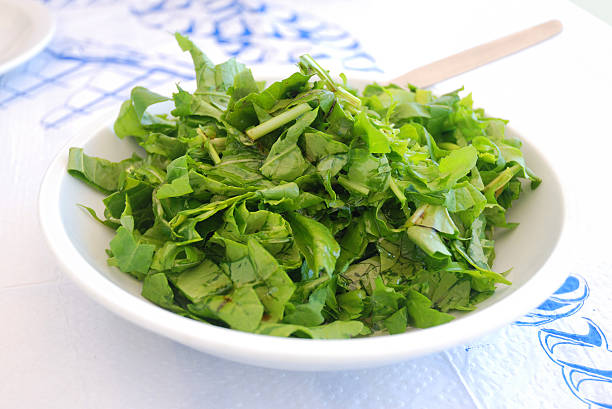 Vegetable salad stock photo