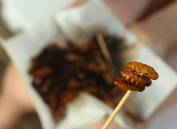 silkworm on japanese stick on the roasted insect mixture background