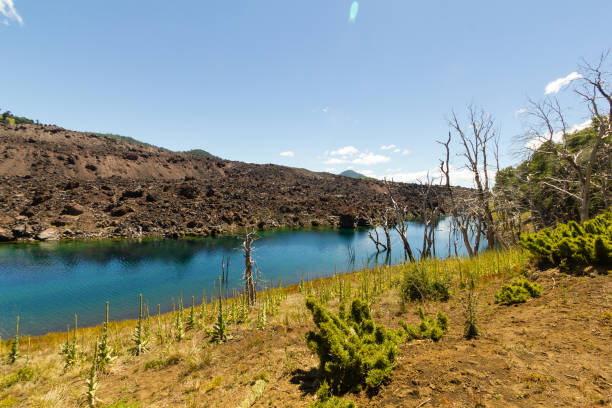 Lake El Escorial and petrified Forest by the action of volcanic lava. 