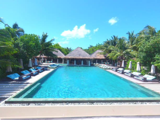 istock Maldives, tropical paradise - Ayada Island 916935020