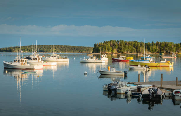 istock Lobster Trap dock and boats in the harbor 916937968
