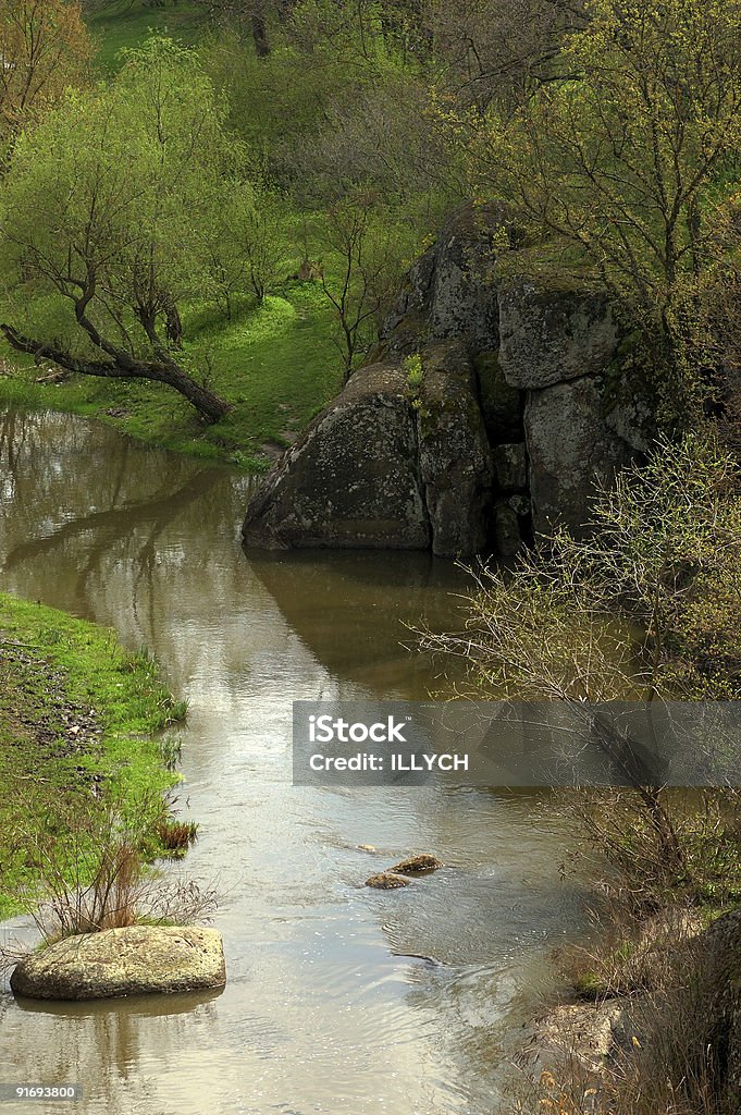 Brook Front View Brook In Forest Stock Photo - Download Image Now - Backgrounds ...