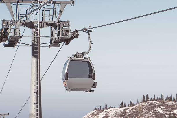 Overhead cable car and summer landscape - green forest and snowcapped mountains on background