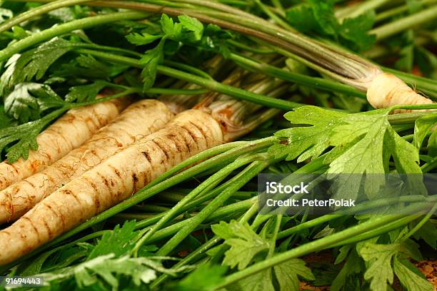 Root Petersilie Blätter Auf Seine Wurzeln Stockfoto und mehr Bilder von Blatt - Pflanzenbestandteile - Blatt - Pflanzenbestandteile, Drei Gegenstände, Farbbild