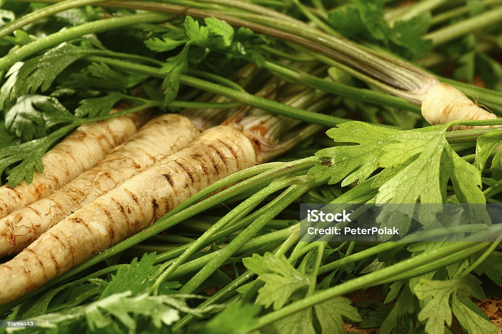 Salsa de raiz as suas raízes em folhas - Royalty-free Alimentação Saudável Foto de stock
