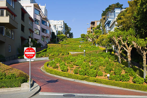 istock Lombard Street in San Francisco 91695412