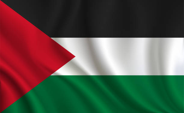 Palestine flag background Palestine flag background palestinian flag stock illustrations