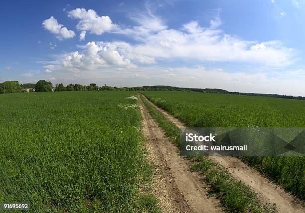 De Suelo Road Foto de stock y más banco de imágenes de Aire libre - Aire libre, Aislado, Antihigiénico