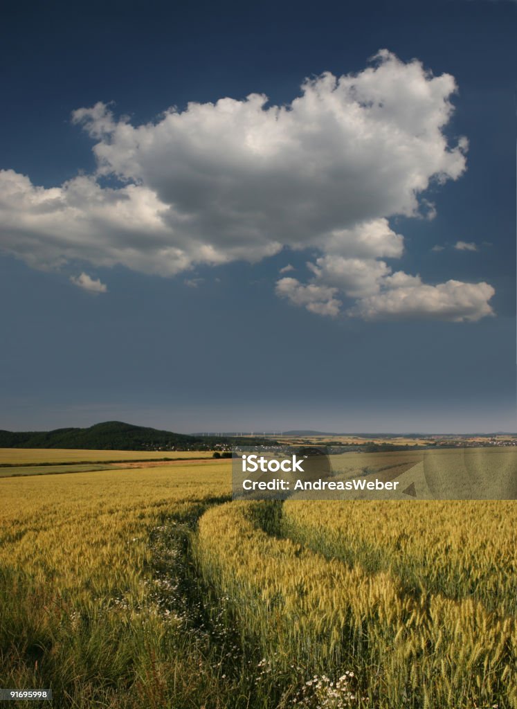 Idyllisches Gerstenfeld bei Ahnatal-Weimar (Kreis Kassel - Lizenzfrei Agrarland Stock-Foto