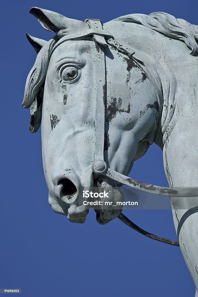 Tête de cheval Statue de Bronze - Photo de Bronze - Alliage libre de droits