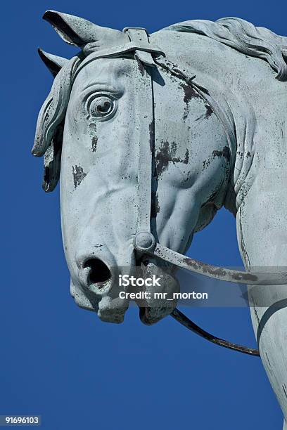 Photo libre de droit de Tête De Cheval Statue De Bronze banque d'images et plus d'images libres de droit de Bronze - Alliage - Bronze - Alliage, Bronze - Couleur, Cheval