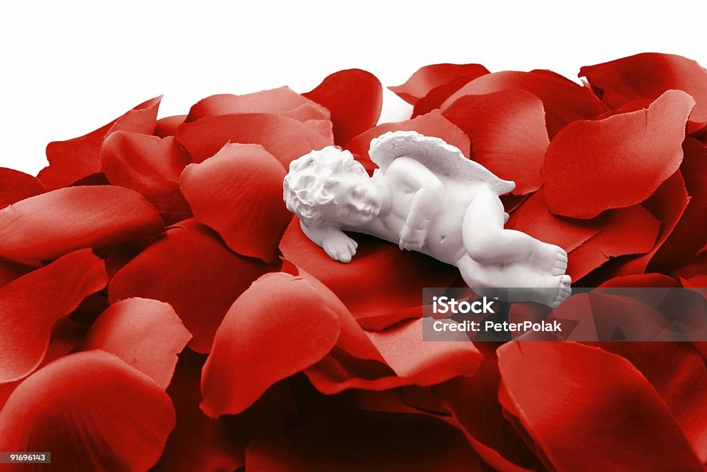 Angel dormir sur les pétales de roses de la Saint-Valentin - Photo de Aile d'animal libre de droits