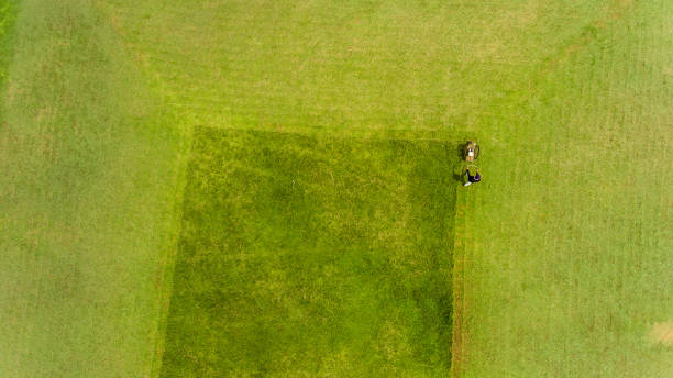 istock The man mowing grass in a lawn 916961888