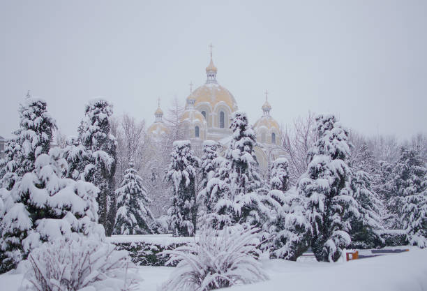 istock Landscape of winter nature with trees 916962634