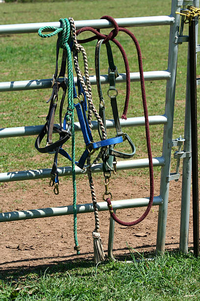 istock Horse bidels and ropes on a fence 91696498