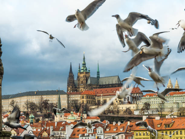istock View of Prague Castle with Saint Vitus Cathedral. 916969086