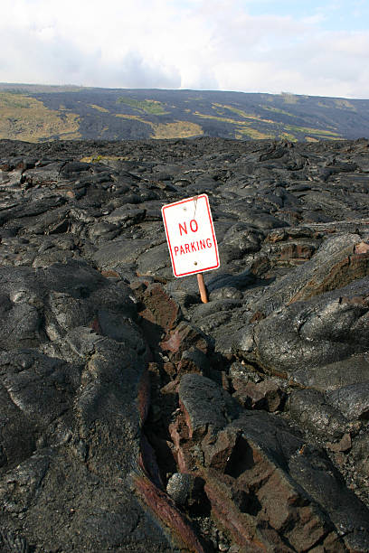 istock No Parking Sign Overrun by Lava 91697242