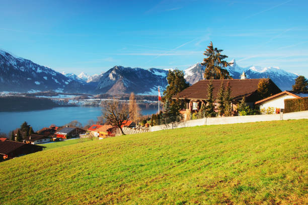 Sigrilwil village Swiss Alps mountains and Thun lake Sigrilwil village and Swiss Alps mountains and Thun lake, Bern canton, Switzerland in winter thun interlaken winter switzerland stock pictures, royalty-free photos & images