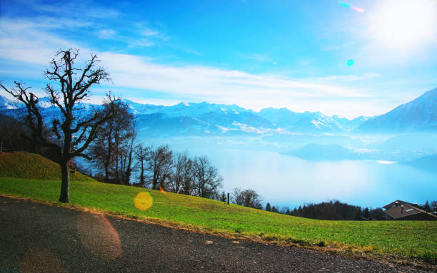 Sigrilwil village with Swiss Alps and Thun lake Sigrilwil village with Swiss Alps mountains and Thun lake, canton Bern, Switzerland in winter thun interlaken winter switzerland stock pictures, royalty-free photos & images