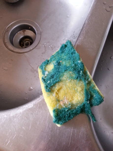 Used kitchen sponge stock photo