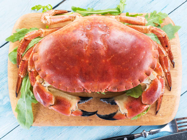 istock Cooked brown crab or edible crab. 916976438