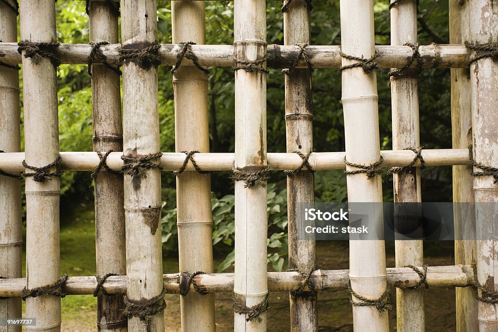 Protezione bambù naturale - Foto stock royalty-free di Albero