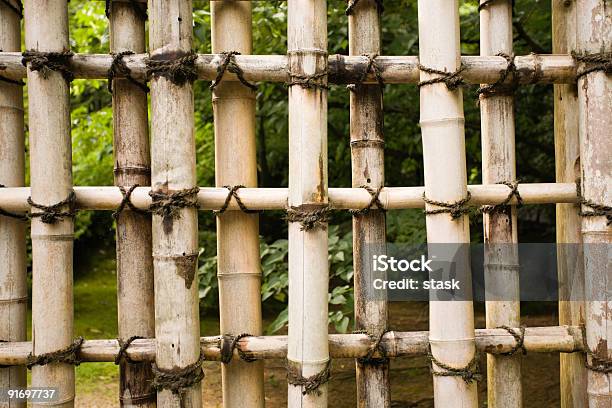 Protezione Bambù Naturale - Fotografie stock e altre immagini di Albero - Albero, Architettura, Armonia