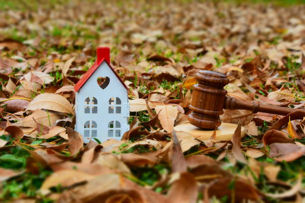istock Real Estate Law - Concept 916978798