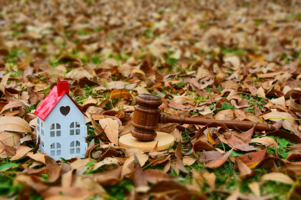 istock Real Estate Law - Concept 916978830