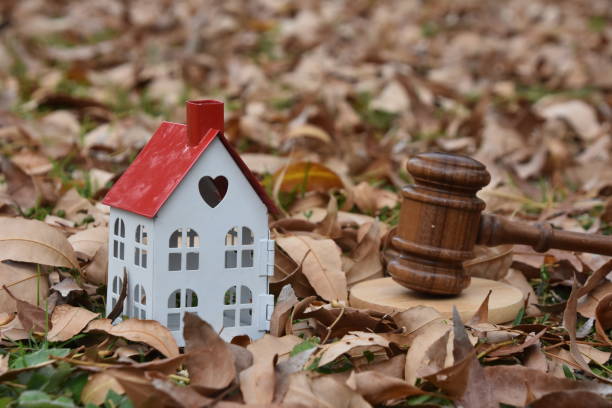 istock Real Estate Law - Concept 916978856