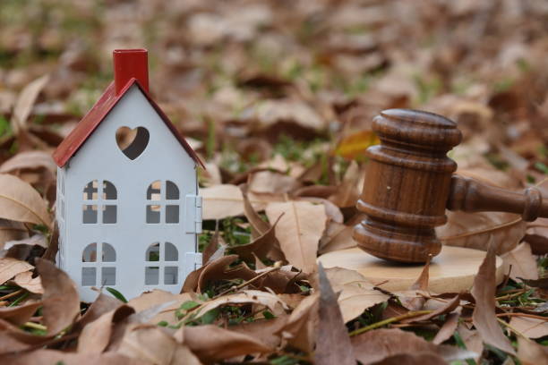istock Real Estate Law - Concept 916978886