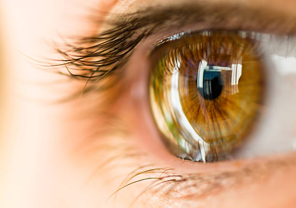 Close up of a green eye looking aside