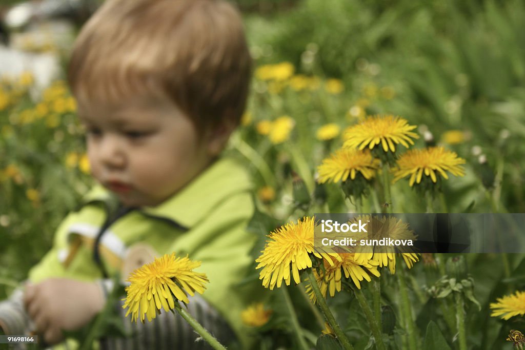 Enfant avec la Fleur de pissenlit - Photo de Affectueux libre de droits