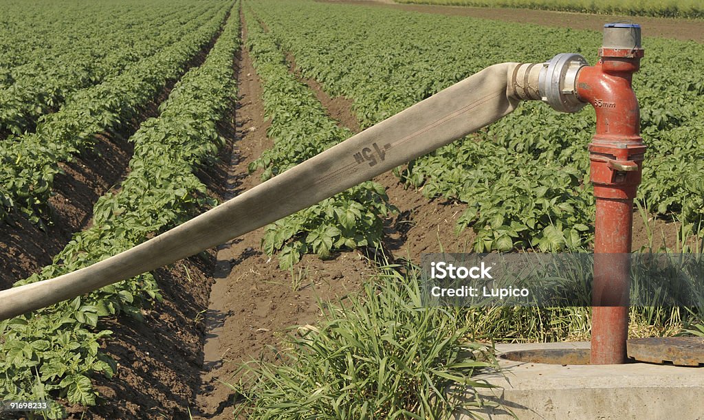 Sistema de Irrigação - Royalty-free Agricultura Foto de stock