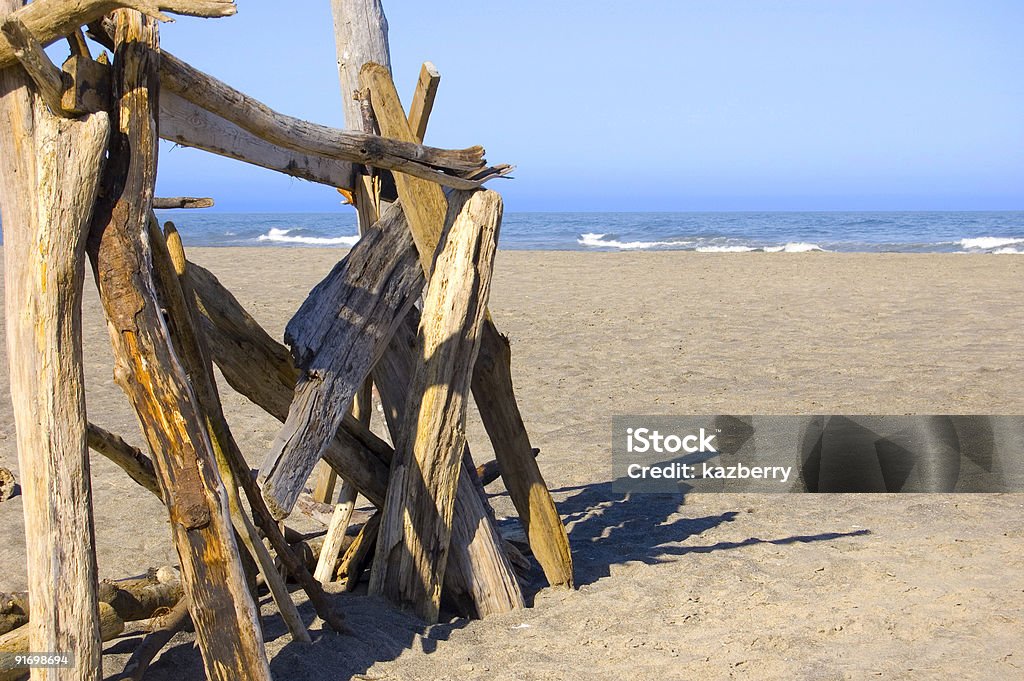 driftwood shelter  Abandoned Stock Photo