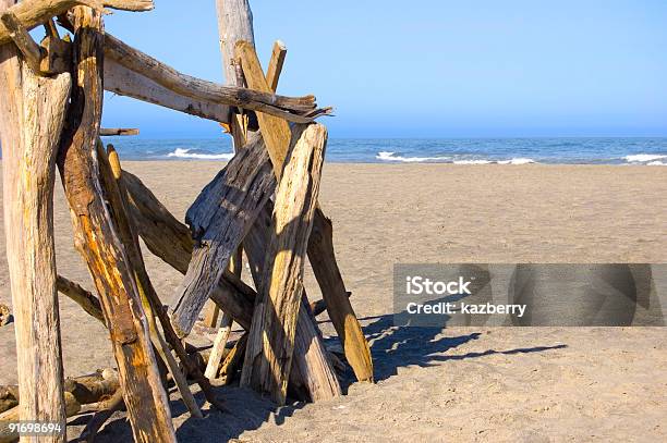 Driftwood Shelter Stock Photo - Download Image Now - Abandoned, Beach, Building - Activity