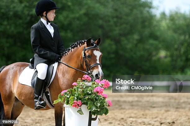 Photo libre de droit de Bay Pony Et Jeune Fille banque d'images et plus d'images libres de droit de Cheval - Cheval, Petites filles, Dressage équestre